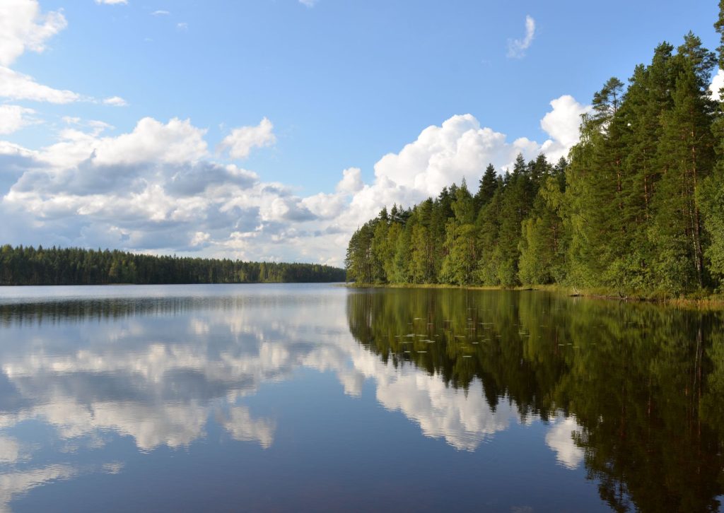 Saimaa järv: Saimaa: Soome suurim järv ja ohustatud saimahüljes